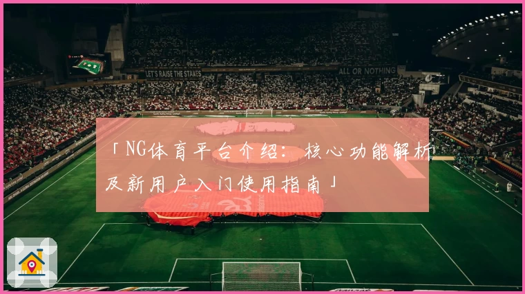 「NG体育平台介绍：核心功能解析及新用户入门使用指南」