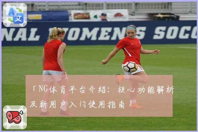 「NG体育平台介绍：核心功能解析及新用户入门使用指南」